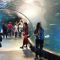 Wrocław_Zoo_8